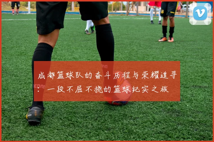 成都篮球队的奋斗历程与荣耀追寻：一段不屈不挠的篮球纪实之旅