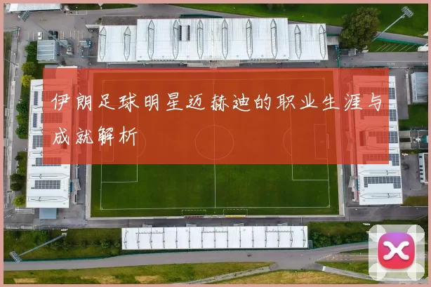 伊朗足球明星迈赫迪的职业生涯与成就解析