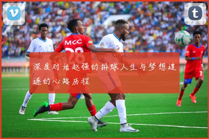 深度对话赵强的排球人生与梦想追逐的心路历程