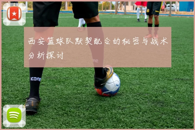 西安篮球队默契配合的秘密与战术分析探讨