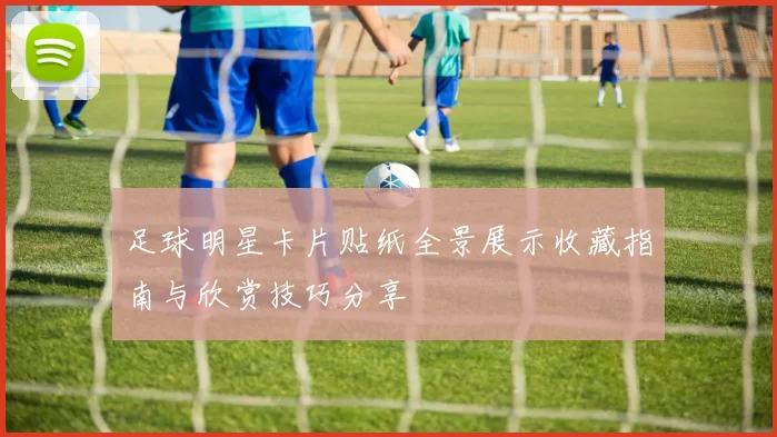 足球明星卡片贴纸全景展示收藏指南与欣赏技巧分享