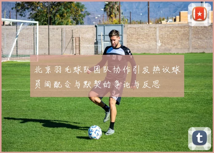 北京羽毛球队团队协作引发热议球员间配合与默契的争论与反思