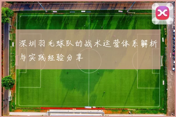 深圳羽毛球队的战术运营体系解析与实践经验分享