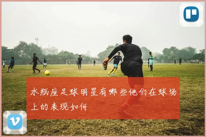 水瓶座足球明星有哪些他们在球场上的表现如何