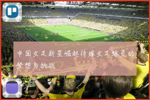 中国女足新星崛起待嫁女足球员的梦想与挑战