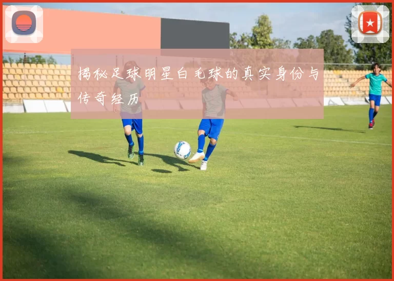 揭秘足球明星白毛球的真实身份与传奇经历