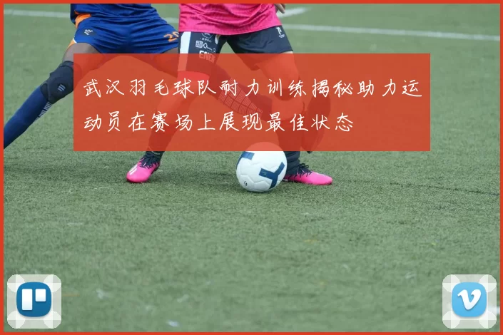 武汉羽毛球队耐力训练揭秘助力运动员在赛场上展现最佳状态