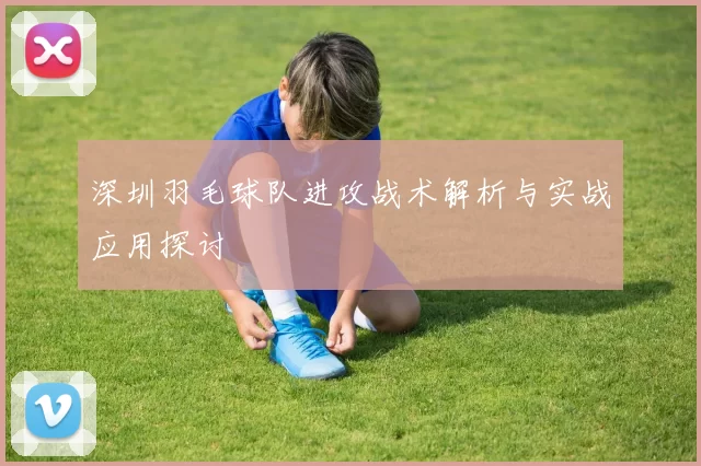 深圳羽毛球队进攻战术解析与实战应用探讨