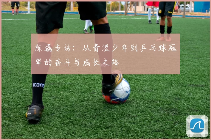 陈磊专访：从青涩少年到乒乓球冠军的奋斗与成长之路