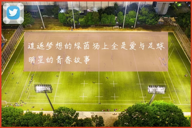 追逐梦想的绿茵场上全是爱与足球明星的青春故事