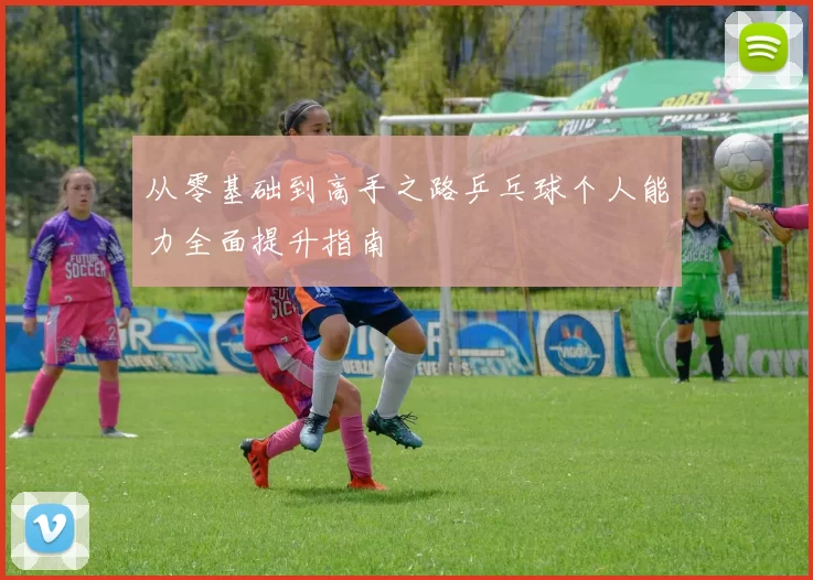 从零基础到高手之路乒乓球个人能力全面提升指南
