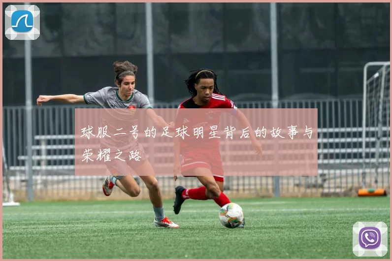 球服二号的足球明星背后的故事与荣耀之路